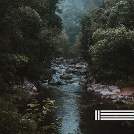 Album cover of Small Creek In The Forest
