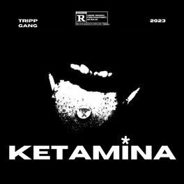 Album cover of Ketamina