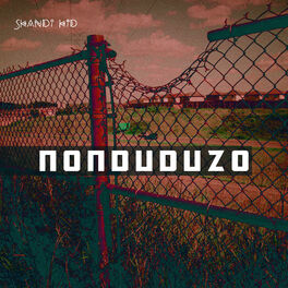 Album cover of Nonduduzo