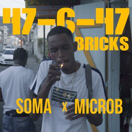 Album cover of 47-6-47 Bricks (feat. microb)