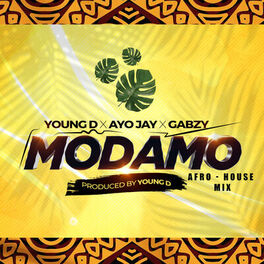 Album cover of Modamo (Afro House Mix)