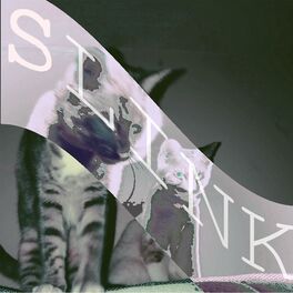 Album cover of Turkey Wednesday