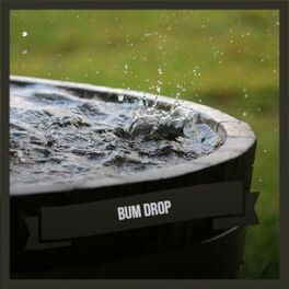 Album cover of Bum Drop