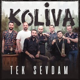 Album cover of Tek Sevdam