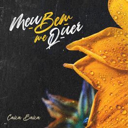 Album cover of Meu bem me quer