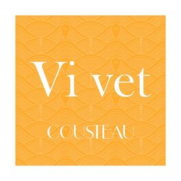 Album cover of Vi Vet