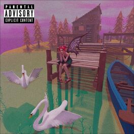 Album cover of El lago de los cisnes