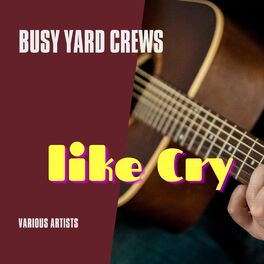 Album cover of Like Cry