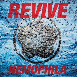 Album cover of REVIVE (U.S. Version)