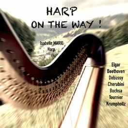 Album cover of Harp on the Way !