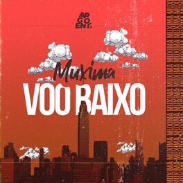 Album cover of Voo Baixo