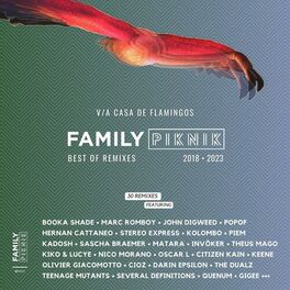 Album cover of 5 YEARS OF REMIXES - BEST OF FAMILY PIKNIK MUSIC