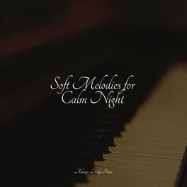 Album cover of Soft Melodies for Calm Night