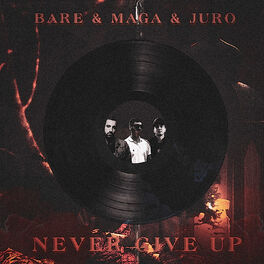 Album cover of Never give up