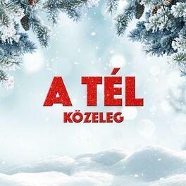 Album cover of A tél közeleg
