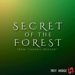 Album cover of Secret of the Forest (from 