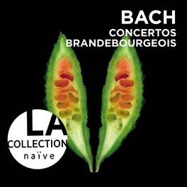 Album cover of Bach: Brandenburg Concertos