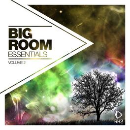 Album cover of Big Room Essentials, Vol. 2