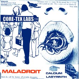 Album cover of Core-Tex Labs, Vol. 15 (Calcium Labyrinth)