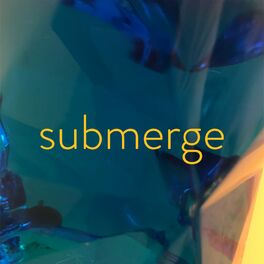 Album cover of submerge