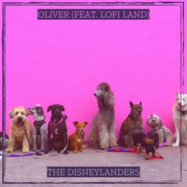 Album cover of Oliver