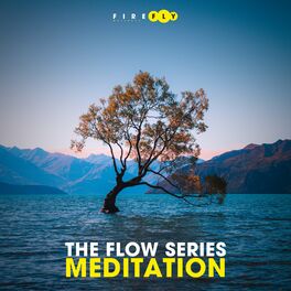 Album cover of The Flow Series - Meditation