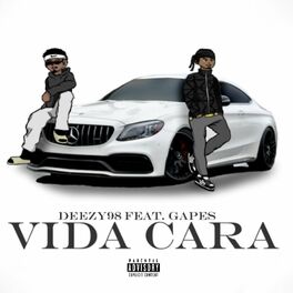Album cover of Vida Cara