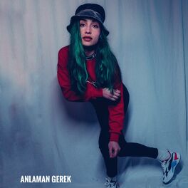 Album cover of Anlaman Gerek