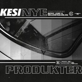 Album cover of Nye Produkter (feat. Benny Jamz & MellemFingaMuzik)