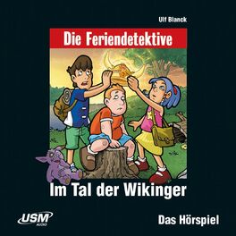 Album cover of Folge 8: Im Tal der Wikinger