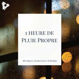 Album cover of 1 Heure de Pluie Propre