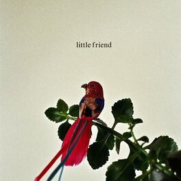 Album cover of Little Friend