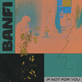 Album cover of If not for you