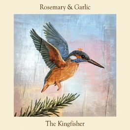Album cover of The Kingfisher