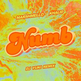 Album cover of Numb (DJ YUKI Remix)