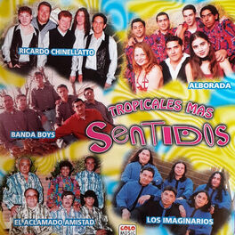 Album cover of Tropicales Más Sentidos
