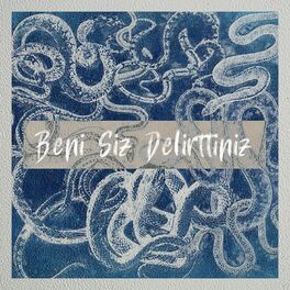 Album cover of Beni Siz Delirttiniz