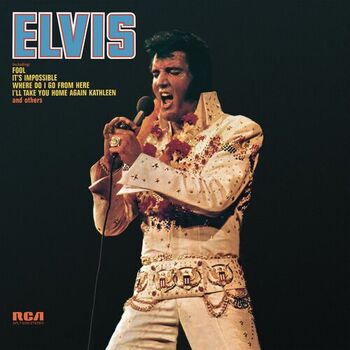 Elvis Presley Stuck on you Lyrics