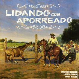 Album cover of Estendendo a Mão - Lidando Com Aporreado
