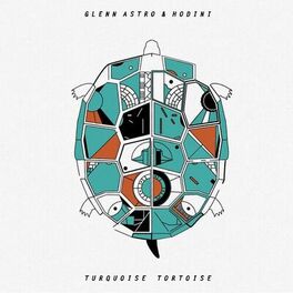 Album cover of Turquoise Tortoise