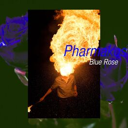 Album cover of Blue Rose