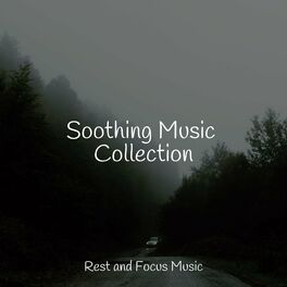 Album cover of Soothing Music Collection