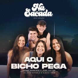 Album cover of Na Sacada #1: Aqui O Bicho Pega