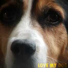 Album cover of Love My Dog