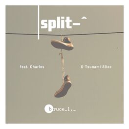 Album cover of Split-^