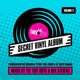 Album cover of Secret Vinyl Album, Vol. 2