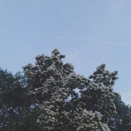 Album cover of Lost Tapes
