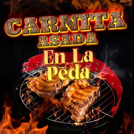 Album cover of Carnita Asada En La Peda