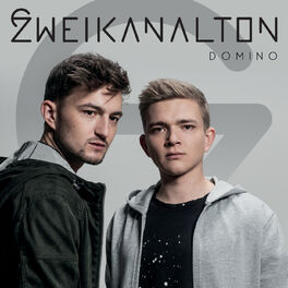 Album cover of Domino