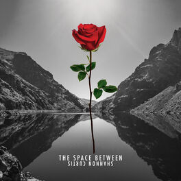 Album cover of The Space Between